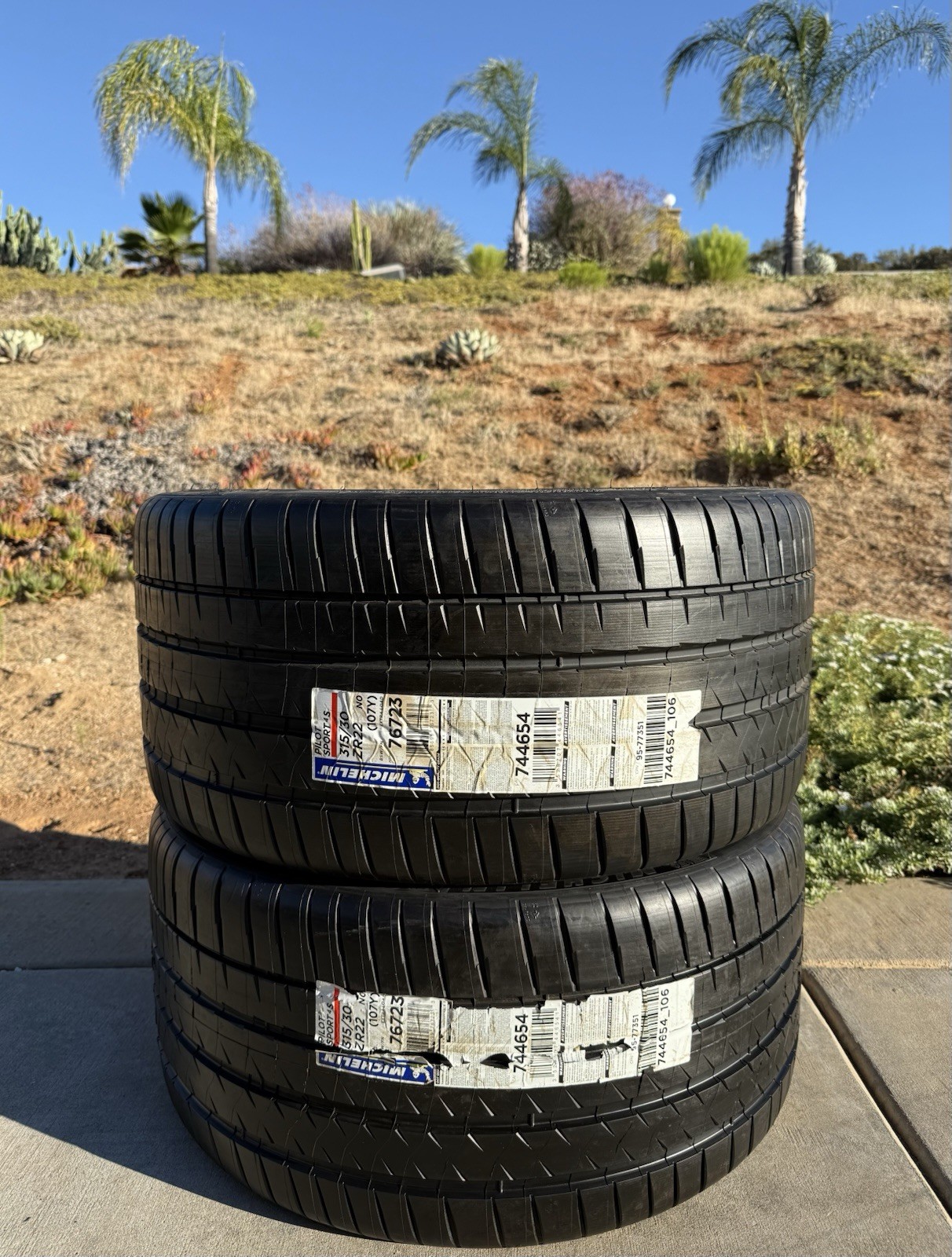 Set of TWO BRAND NEW 315/30ZR22 (107Y) Michelin Pilot Sport 4S Tires 3153022