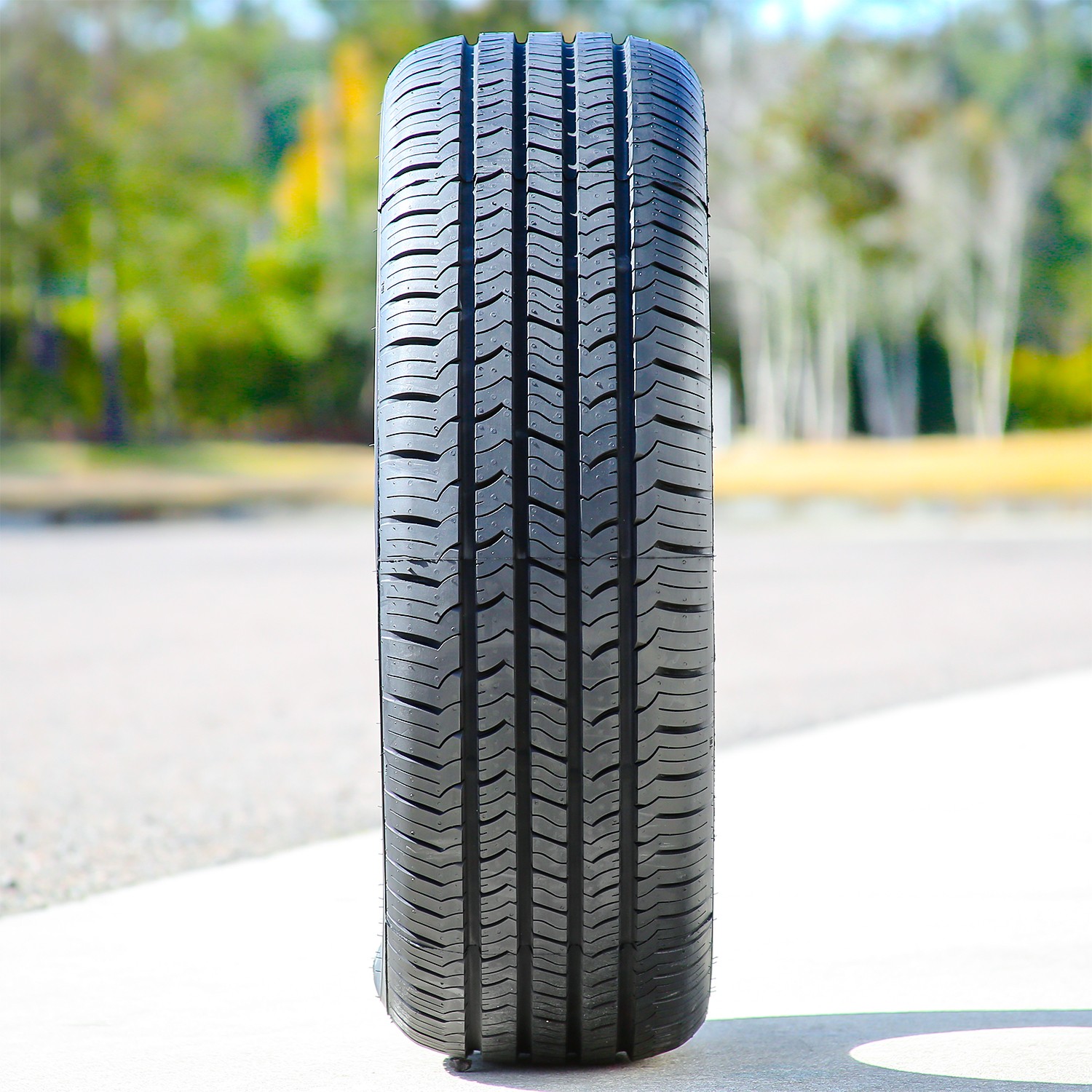 2 Tires Evoluxx Capricorn HP 215/65R15 100H XL All Season M+S