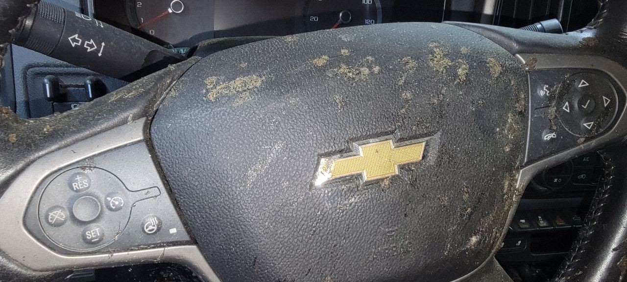 2019 Chevrolet Colorado Tire 255 65R17 110T,Goodyear Wrangler
