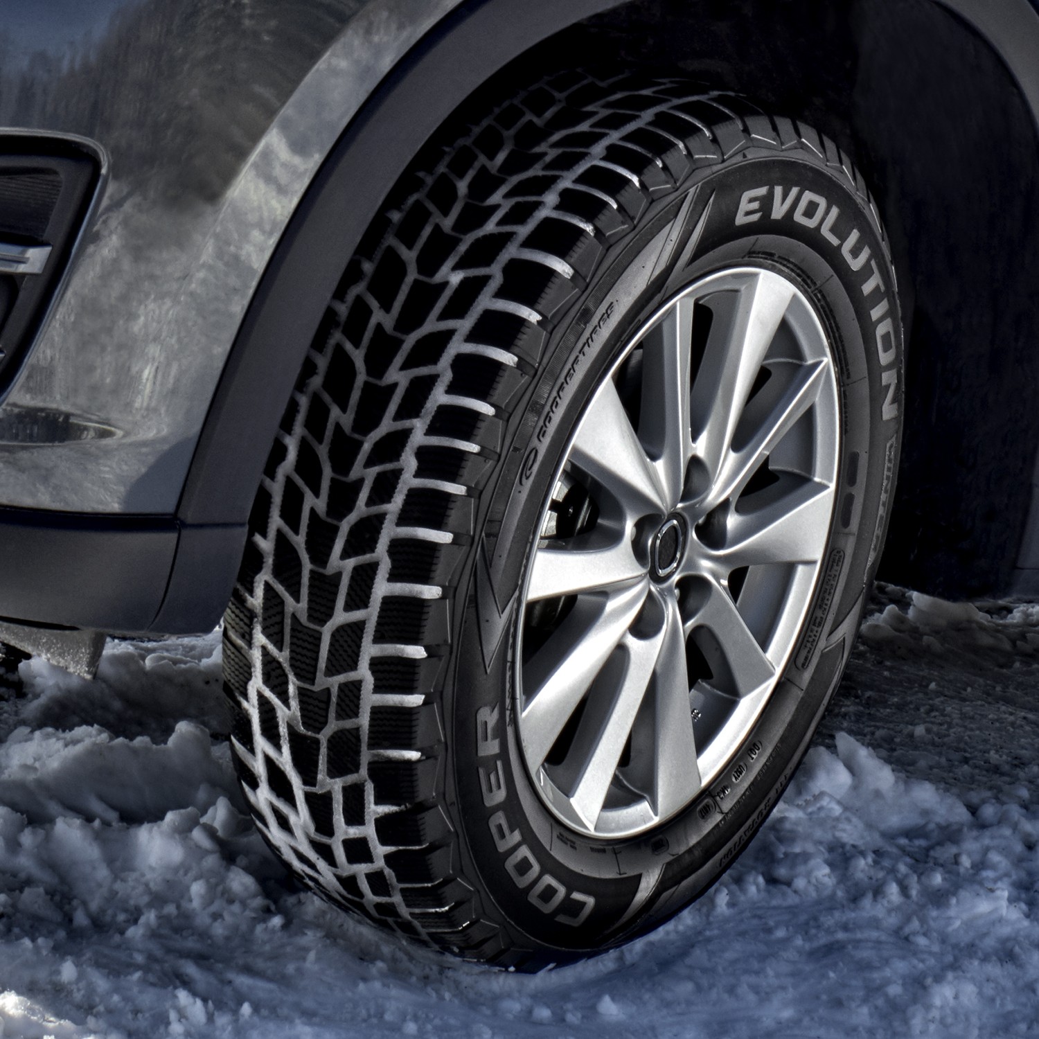 Tire Cooper Evolution Winter 225/50R17 94H Snow
