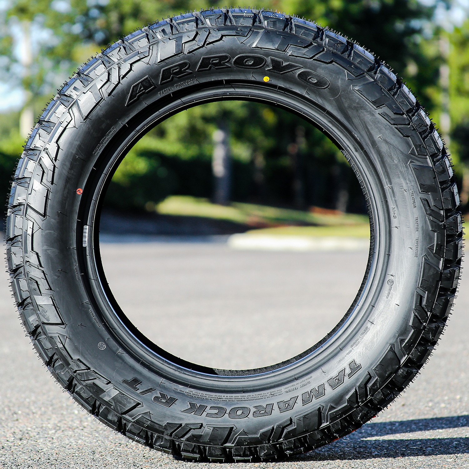 4 Tires Arroyo Tamarock R/T 305/55R20 116T RT Rugged Terrain