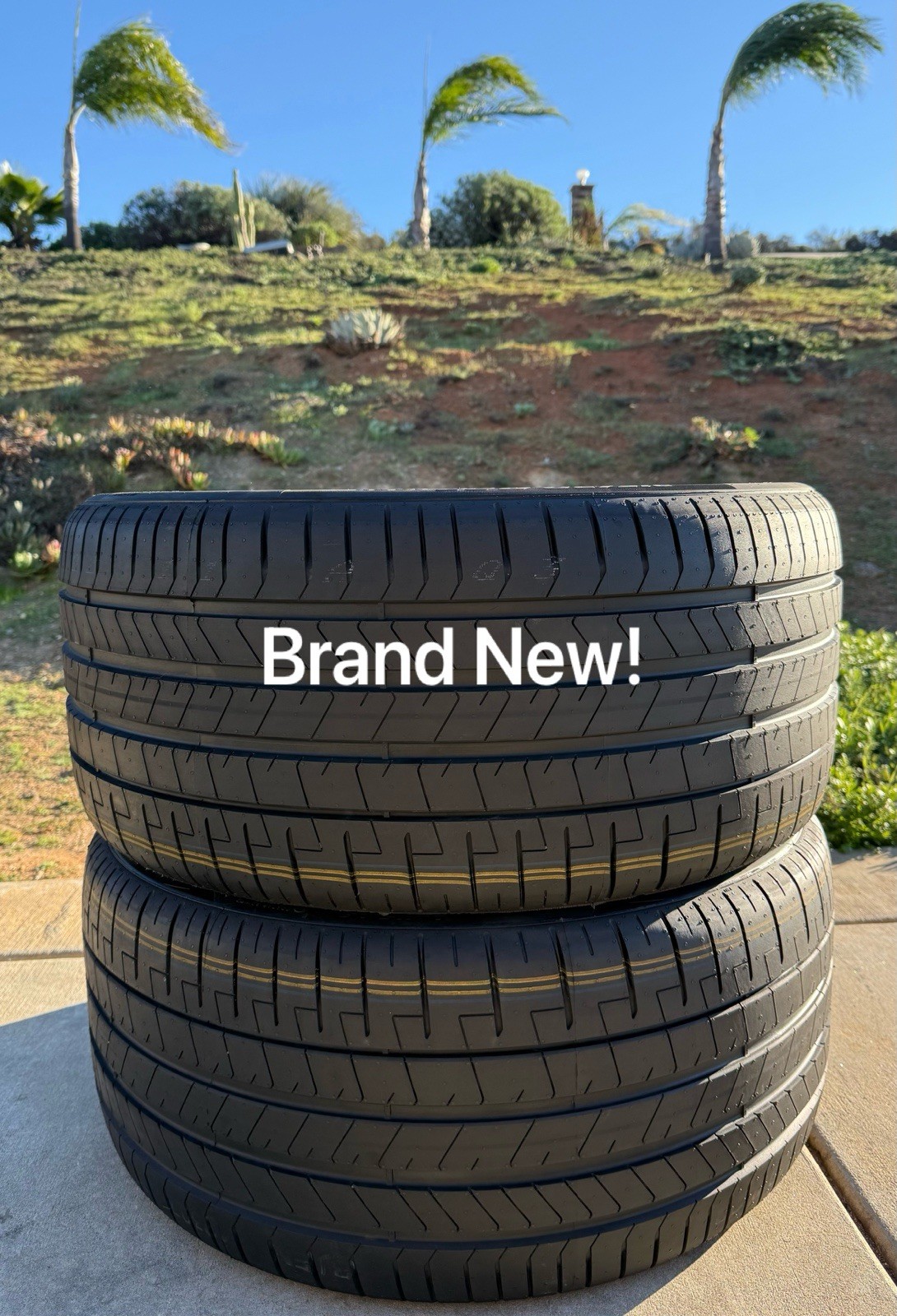 TWO BRAND NEW 315/30R22 107Y Pirelli P Zero PZ4 Luxury Tires 3153022