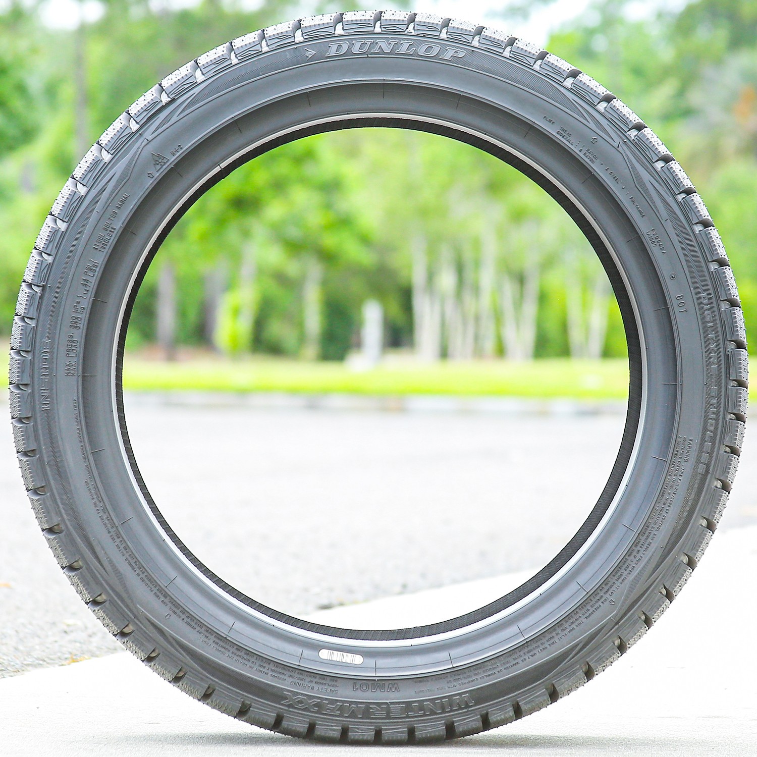 Tire Dunlop Winter Maxx 165/65R14 79R (Studless) Snow