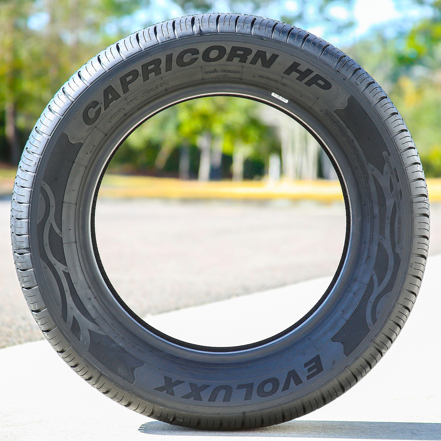 2 Tires Evoluxx Capricorn HP 215/65R15 100H XL All Season M+S