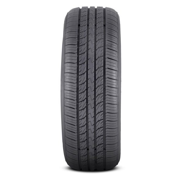 Arroyo Eco Pro AS 215/65R16 102/H SL 500 A A All Season BSW TIRE