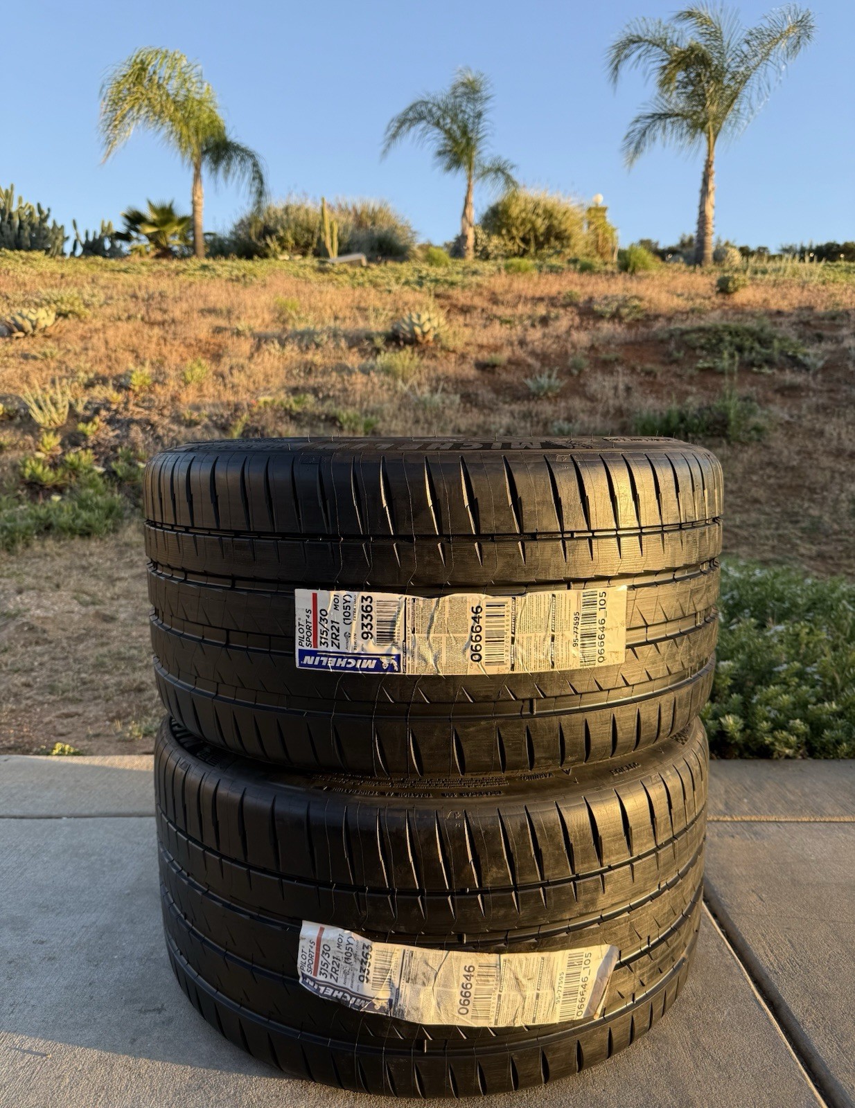 Set of TWO BRAND NEW 315/30ZR21 (105Y) Michelin Pilot Sport 4S MO1 Tires 3153021