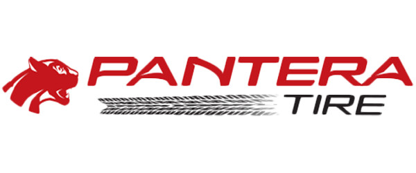 205/65R16 Pantera Platinum Touring A/S 95V SL Black Wall Tire