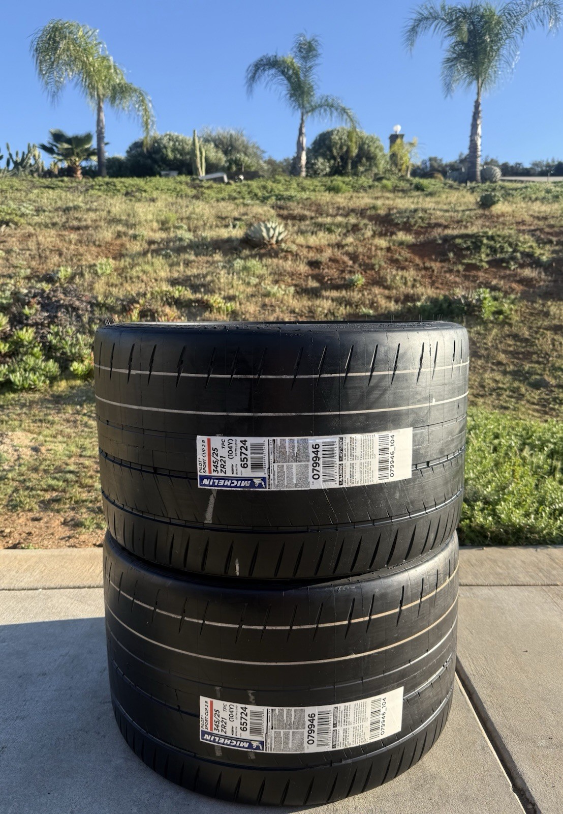 TWO BRAND NEW 345/25ZR21 (104Y) Michelin Pilot Sport Cup 2R ZP C8 Corvette Tires