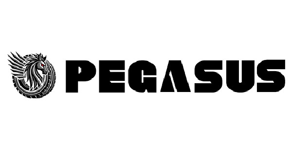 (QTY 2) 265/65R18 Pegasus HTX AS 114H SL Black Wall Tires