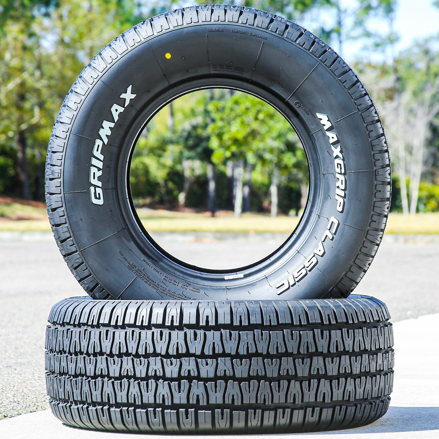Tire Gripmax MaxGrip Classic 225/60R14 94H AS A/S Performance