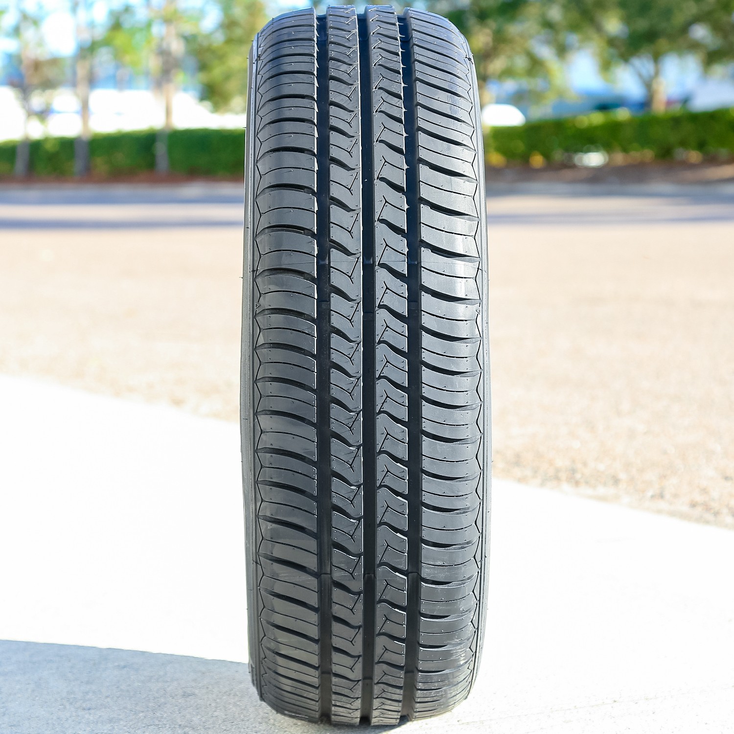Lancaster LP-16 185/55R16 83V Summer Performance Tire 60k Mi Warranty 560AA