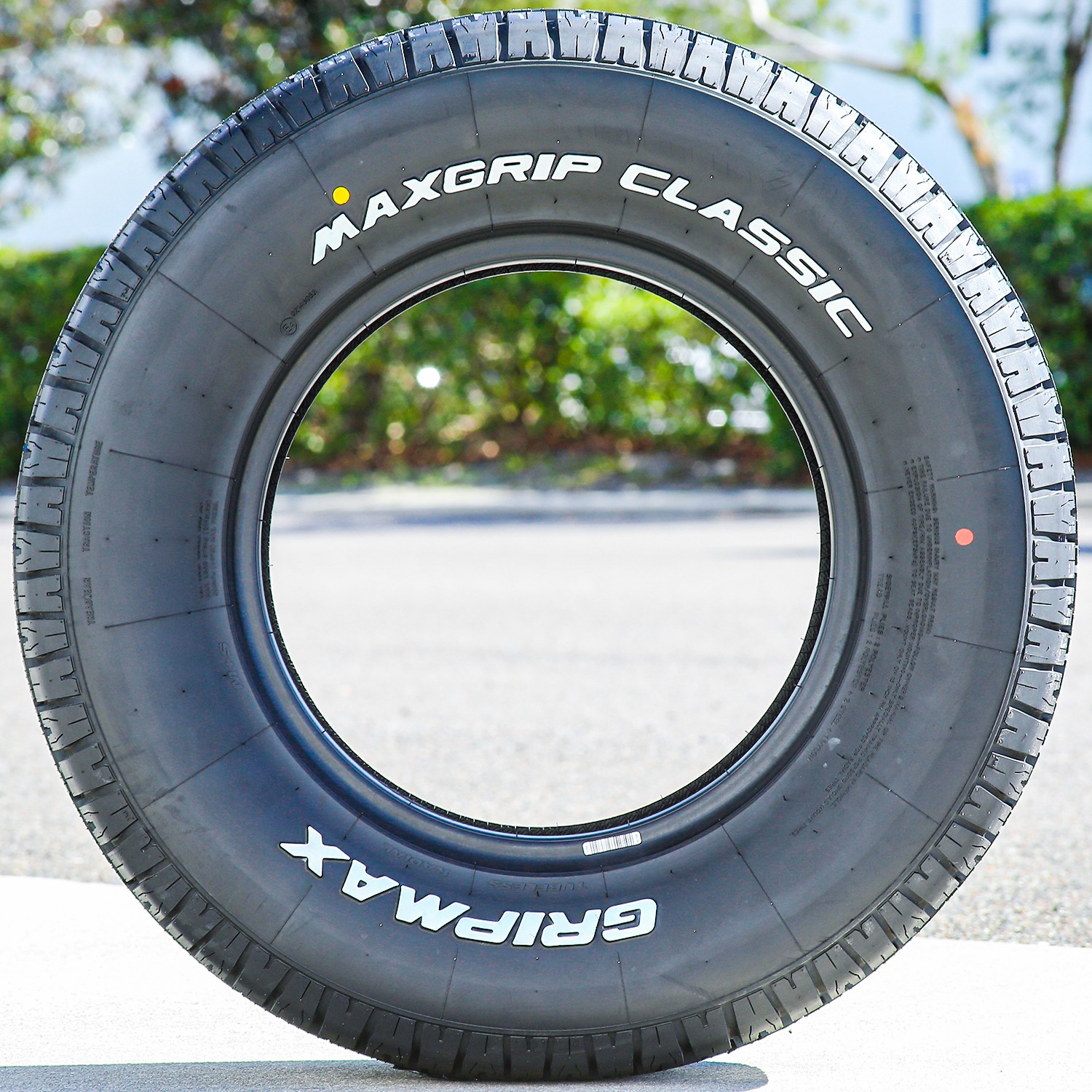 Tire Gripmax MaxGrip Classic 215/60R15 94H AS A/S Performance